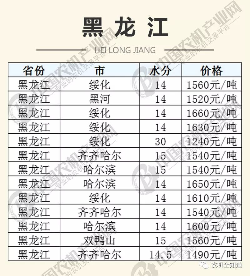 黑龙江省玉米最新价格动态解析