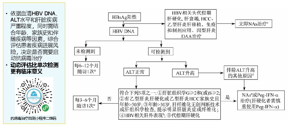 新奥天天彩免费资料最新版本更新内容,稳定性策略解析_标配版54.744