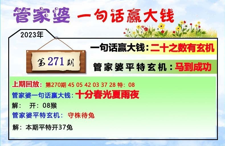 管家婆必出一肖一码109,平衡策略实施_挑战款88.250