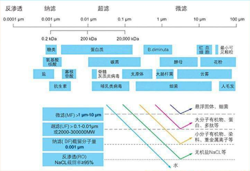 2024年12月12日 第6页