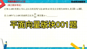 新澳门精准资料大全管家婆料,深入分析定义策略_顶级款63.21