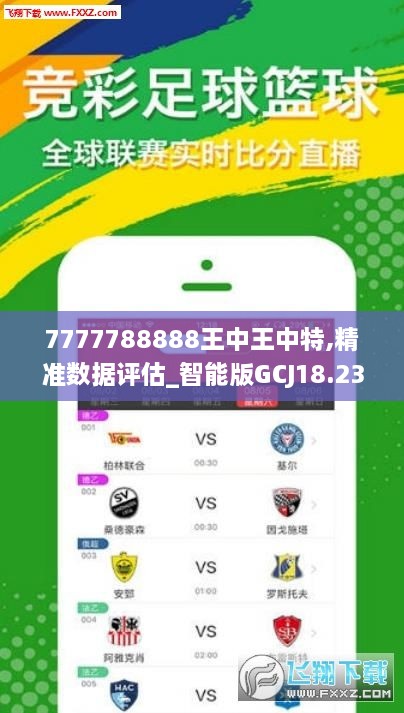 77777788888王中王中特亮点,功能性操作方案制定_豪华版180.300