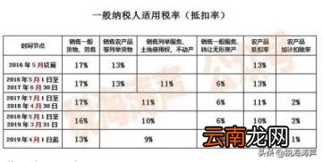 最新征税标准重塑税收体系，助力公平与发展共赢时代