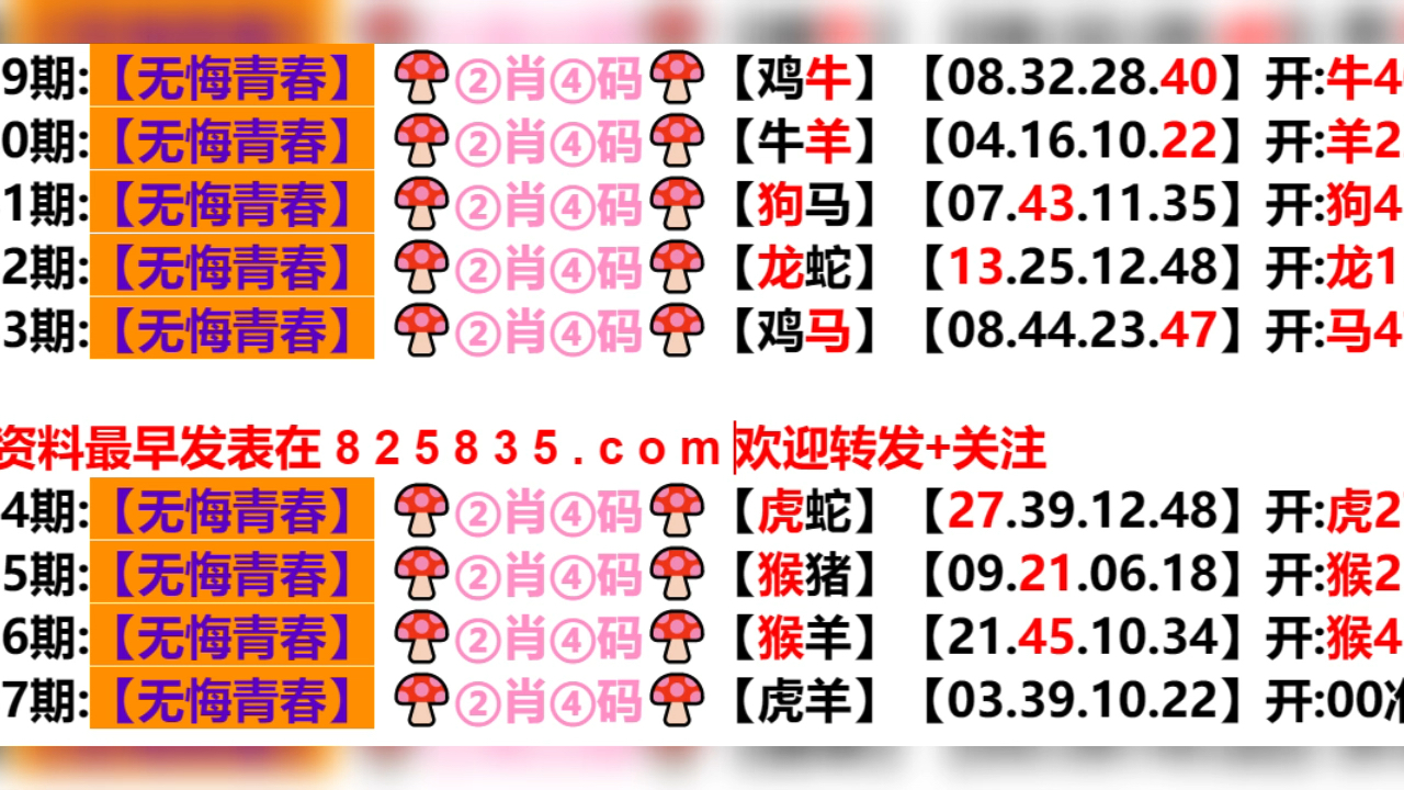 2024新澳门天天开好彩大全孔的五伏,实践案例解析说明_视频版79.327