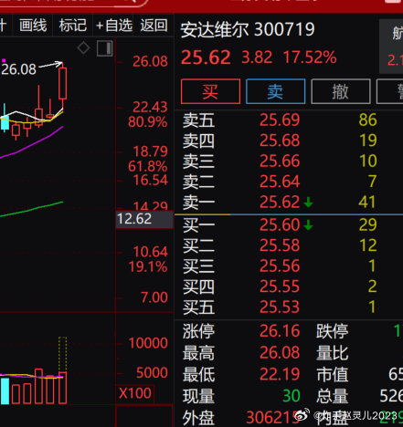 安达维尔最新消息全面解读与分析