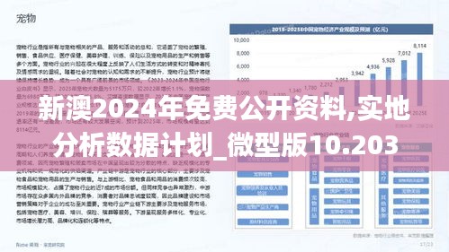 新澳2024年精准资料,诠释解析落实_set97.114