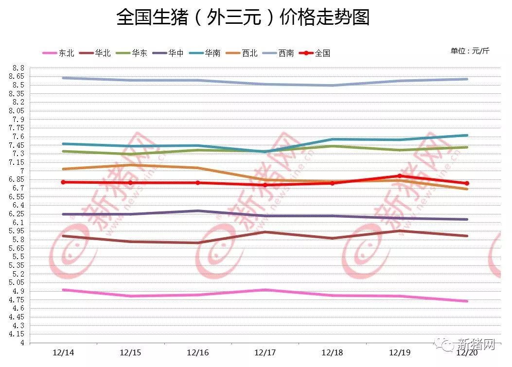 最新猪价分析与预测报告