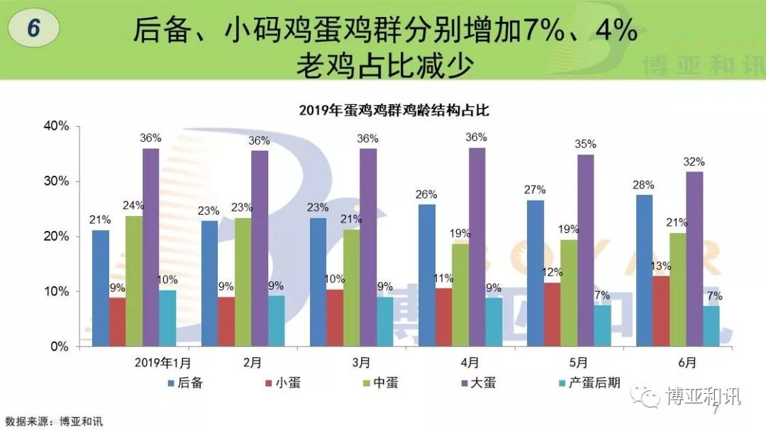 芝华分析，蛋鸡存栏现状剖析与未来展望